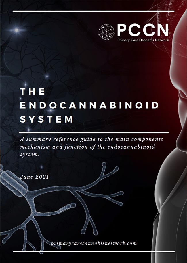 Front cover of document called "The Endocannabinoid System"
